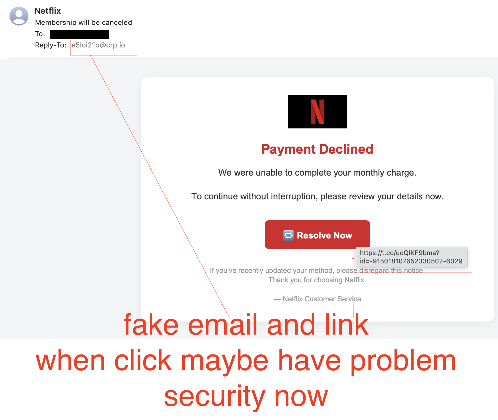 Exemple Email Fake