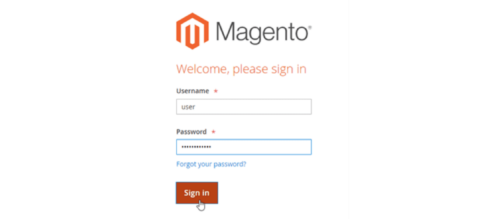 Access your Magento website using its public IP or domain name.