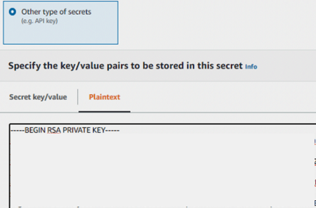 Copy and paste your private key